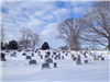 Cemetery 3