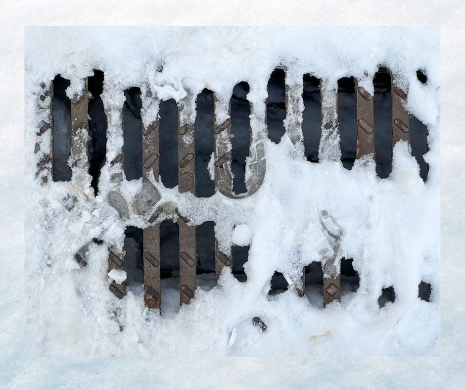 Untitled design (11)